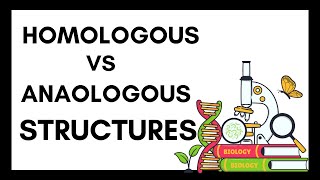 Homologous Structures vs Analogous Structures [upl. by Hannala548]