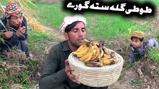 Tuti Gulla Sata Ghorey Pashto New Funny Video 2024 by Tuti Gull Official [upl. by Mook]