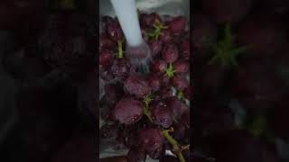 We Tried Grapes that taste like Cotton Candy Candy Pops Seedless Grapes [upl. by Banks]