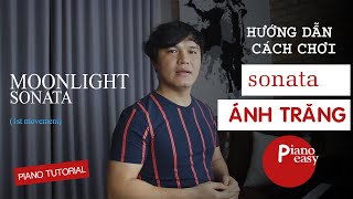 Hướng dẫn cách chơi SONATA ÁNH TRĂNG 🎹 Piano tutorial [upl. by Erapsag]