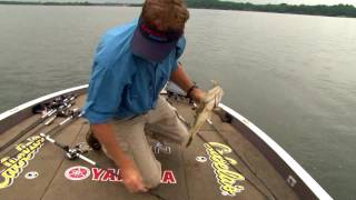 Fishing Lake Wilson Ledges near Florence Alabama [upl. by Kala515]