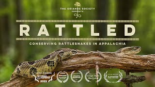 RATTLED Conserving Rattlesnakes in Appalachia 2024 by The Orianne Society [upl. by Jonah]