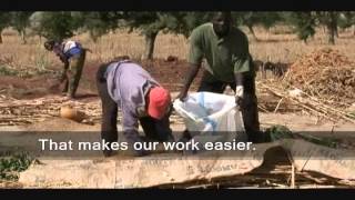 The Threshing Floor  Far North Cameroon [upl. by Irv45]