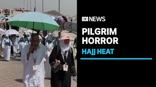 Egypt cracks down on dodgy operators after hundreds of hajj pilgrimage deaths  ABC News [upl. by Eissalc]