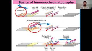 Immunochromatographic Assay or Technique I Guide to Immunochromatographic Assay [upl. by Louanna728]