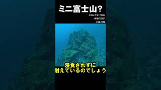 溶岩でできたミニ富士山 伊豆 水中映像 溶岩 海底 [upl. by Eltsyrk]