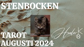 Stenbocken ♑️ Augusti 2024 Tarot  Healer K [upl. by Mainis]