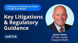 Key Litigations amp Regulatory Guidance  Advising on AI Guiding Your Clients Through AI 24 [upl. by Nnahgem]