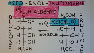 GLUCOSE FRUCTOSE ist das nicht EGAL KetoEnolTautomerie  lessonsathome [upl. by Netnerb]