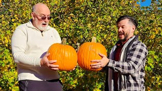 Pumpkin Picking At Demarest Farms NJ  Great Family Fun [upl. by Enyawd]