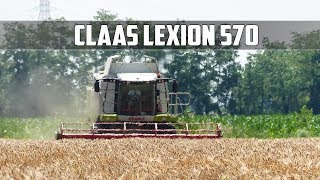 Agromeccanica Assanelli  Claas Lexion 570 [upl. by Madea361]