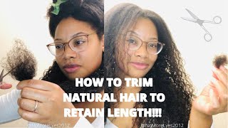 Easy Way to Trim Natural Hair without Heat  Detailed Video [upl. by Auqinat]