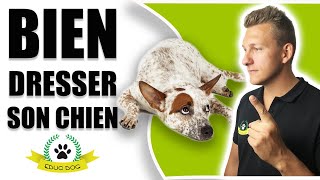 COMMENT DRESSER SON CHIEN [upl. by Rendrag182]