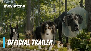 Strays  Official Trailer 2  Will Ferrell Jamie Foxx [upl. by Aliuqahs]