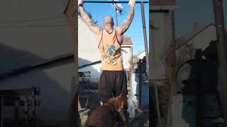 Funny moments dog workout sports fun funny dogs homegym rockair animals pullups legday [upl. by Woodford]