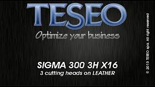 TESEO SIGMA 300 3 cutting heads auto cutter [upl. by Kania83]