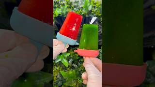 2 flavour summer popsicle icecream homemade popsicle shorts Itsmuntahakhanam [upl. by Vassar522]