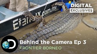 Behind the Camera Killer Crocodile  Frontier Borneo S01E03 [upl. by Cedell183]