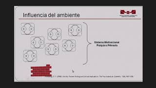 Desarrollo normal de la personalidad [upl. by Rudiger]