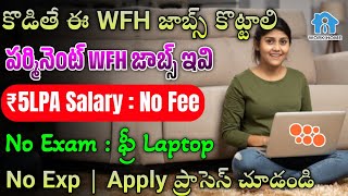 Work From Home Jobs 2024  Latest Jobs In Telugu  Jobs In Hyderabad ParallelDots Recruitment 2024 [upl. by Naej519]