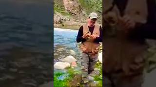 Trout fishing flyfishing outdoors [upl. by Neitsirhc]