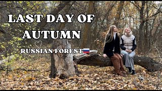 a cosy autumn vlog 🍂 countryside  Russia cosyvlog autumn forestsounds [upl. by Mendive422]