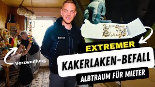 Albtraum für die Nachbarn Kakerlaken breiten sich unkontrolliert aus 😱 [upl. by Gardiner823]