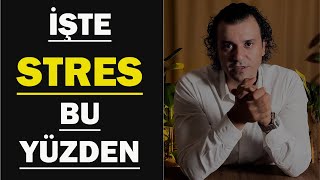 İŞTE STRES BU YÜZDEN [upl. by Gile791]