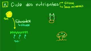 Ciclo dos nutrientes  Ecologia  Biologia [upl. by Arotal]