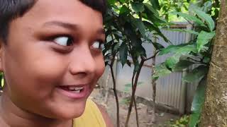 সোনার ডিম পাড়া মুরগি  Aayan riyad vlog  Sonar dim para murgi [upl. by Niltag902]