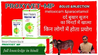 proxyvet Mp Procyvet MP Bolus amp Injection how to use Proxyvet use in Animals manjhi Veterinary [upl. by Limaj21]