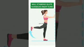 WALL STANDING GLUTE KICKBACKS RIGHT KURD [upl. by Mieka188]