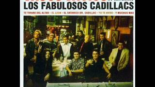 Los Fabulosos Cadillacs  Gitana Remix [upl. by Anirtac]