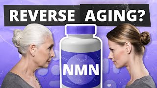 REVERSE AGING Dr David Sinclair on NMN amp Top NMN Benefits [upl. by Assedo356]