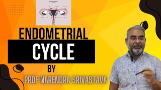 Endometrial cycle Anatomy and Hormonal Regulation  Female Reproductive Cycle [upl. by Aneloaup]