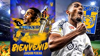 Tigres Anuncia OFICIALMENTE a Joaquim Pereira como su NUEVO Fichaje BOMBA 💣🇧🇷🔥 [upl. by Ahtael]