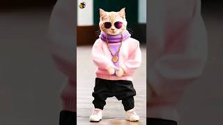 cute cat dance 💕🥀🥀new whatsapp statuscute cat🥀trendingtrendshortsnew statuscat shorts [upl. by Na28]