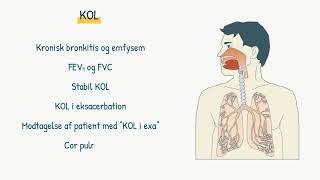 Respirationssystemet KOL [upl. by Anaicul]