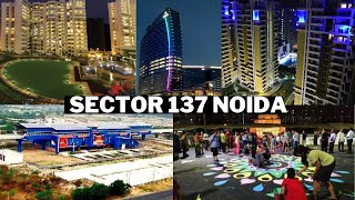 SECTOR 137 NOIDA OVERVIEW ☎️ 7206165093  9289282228  PRICES WITH PROJECTS INFORMATION [upl. by Marucci]