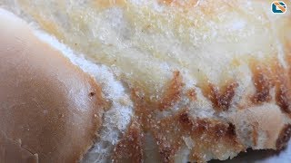 Bread Close Up  Nikon P1000 Macro [upl. by Burley]