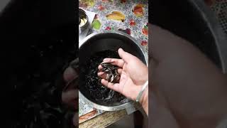 அயிரை மீன்  Ayirai meen  Indian Spined loach Fish  For Indian curry cooking [upl. by Tnarb]