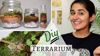 How to Make a Terrarium for Free 💚 [upl. by Ainad]