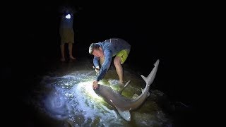 Shark Fishing Cape Cod From Shore  Summer 2018 [upl. by Engle]