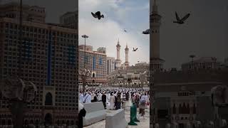 Beribadah di Baitullah umrah haji makkah madina arminarekaperdana [upl. by Nivrem]