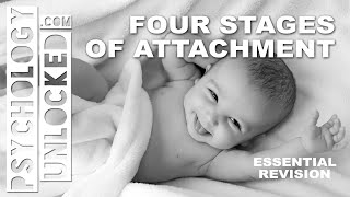 Four Stages of Attachment John Bowlby  Attachment  Psychology Revision Tool [upl. by Alehtse673]