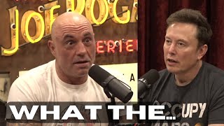 Elon Musk Shocked Joe Rogan About The US Economy [upl. by Avictor366]