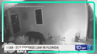 New Florida law addressing bear interactions is raising eyebrows across the state [upl. by Nanreik]