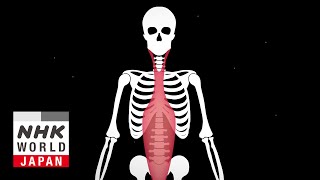 Fascia Cause of Chronic Pain  Medical Frontiers [upl. by Eeuqram]