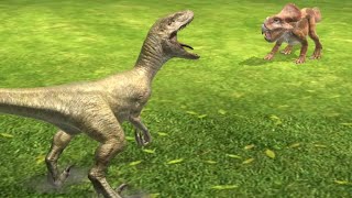 Velociraptor vs Protoceratops at the Museum Tour Strike  Jurassic WorldAlive Ep1906 [upl. by Ama]