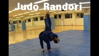 Judo Randori Class [upl. by Nauqaj460]